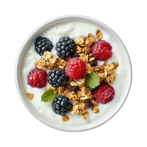 ontwerp zonder titel 2025 12 29t155115.523